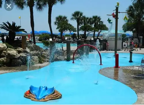 Sailor's Delight photo 30