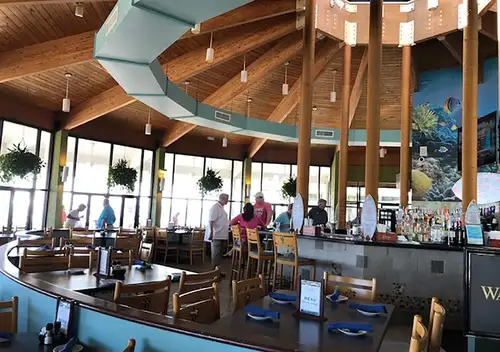 Sailor's Delight photo 41